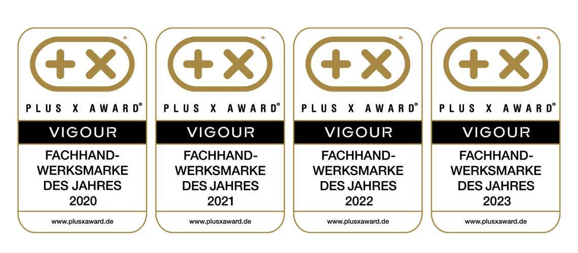 VIGOUR Fachhandwerksmarke des Jahres PLUS X Award